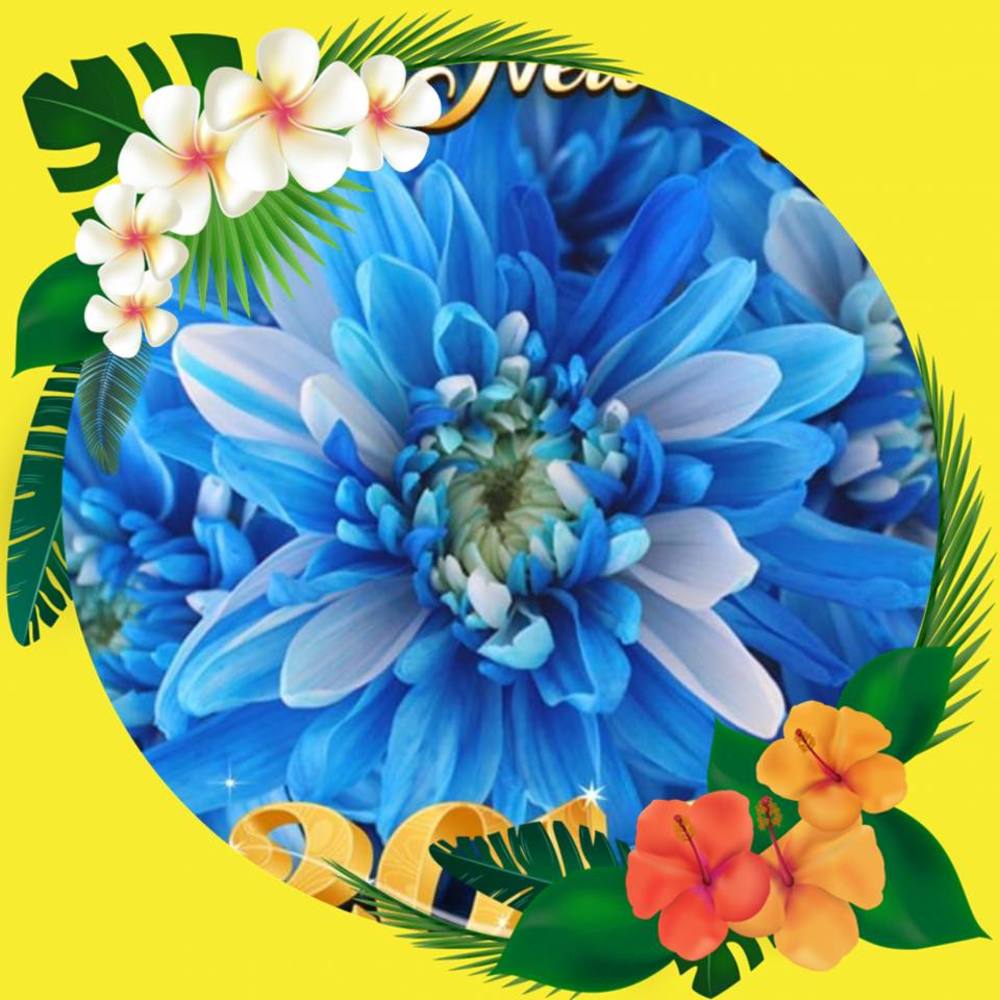 Meet your Posher, Chimyentrang